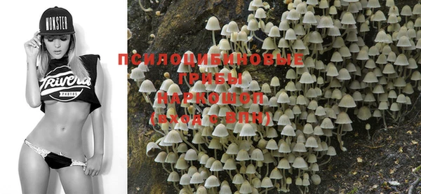 PSILOCYBIN Бугульма