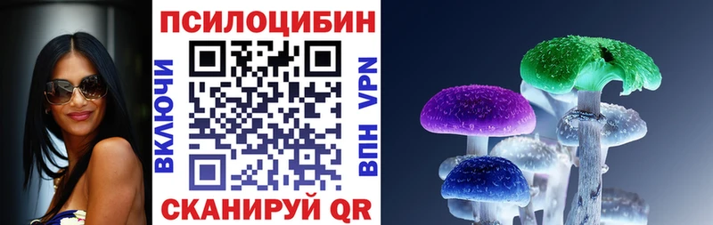 купить наркотик  Люберцы  hydra зеркало  Галлюциногенные грибы Psilocybine cubensis 